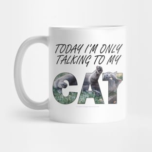 Today I'm only talking to my cat - grey cat oil painting word art Mug